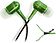 Наушники CBR Human Friends Zipper Green