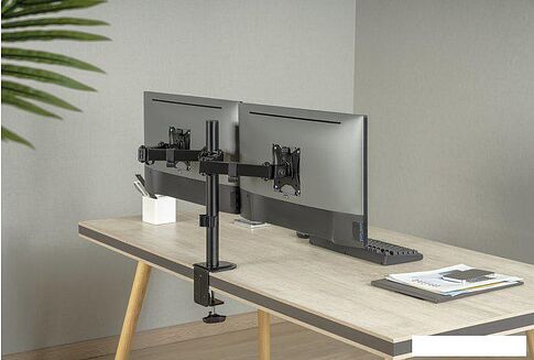 Кронштейн ErgoSmart Twin II