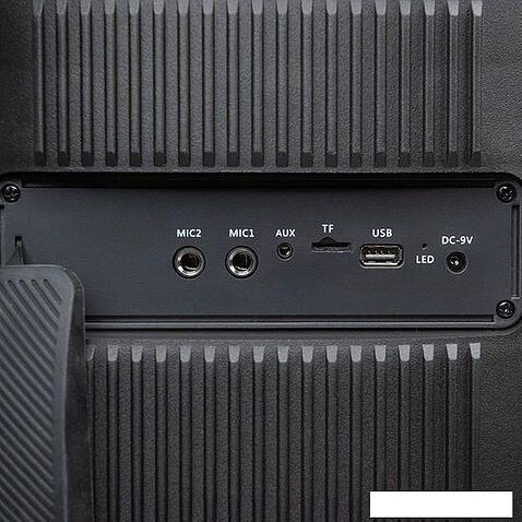 Колонка для вечеринок Dialog AO-300