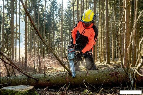 Аккумуляторная пила Metabo MS 36-18 LTX BL 40 601613850 (без АКБ)