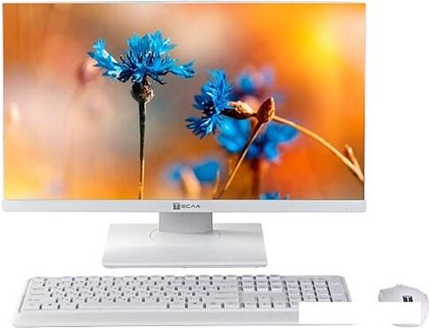 Моноблок ТЕСЛА P24WP 2116500