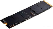 SSD Digma Pro Top P8 1TB DGPST4001TP8T7