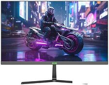 Игровой монитор ELSA EA241GS Pro