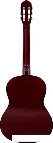 Акустическая гитара Belucci BC3905 N