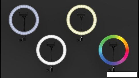 Кольцевая лампа Ritmix RRL-263