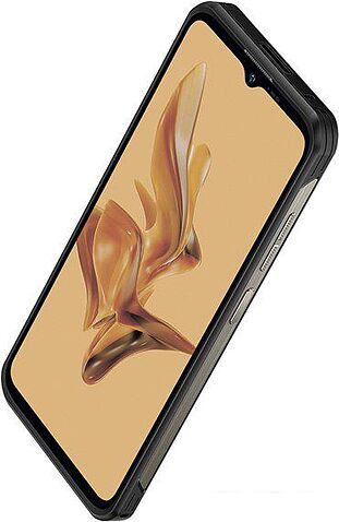 Смартфон Ulefone Armor 17 Pro (черный)