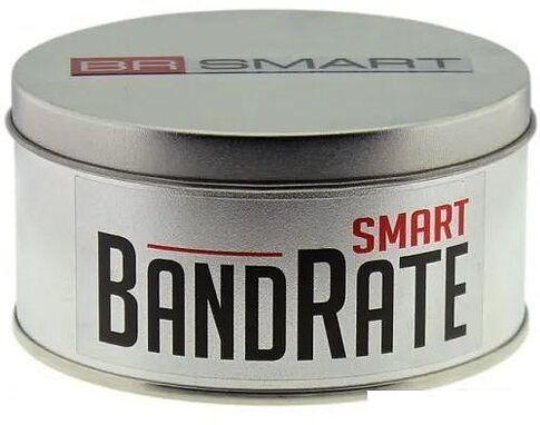 Умные часы BandRate Smart BRST500500GGWB