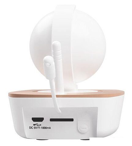 Дополнительная камера Ramili RV1300C