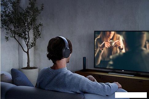 Наушники Sony MDR-RF895RK