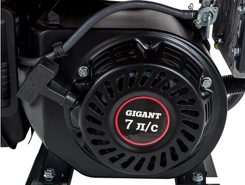 Бензиновый генератор Gigant Professional GPIGL-3000O