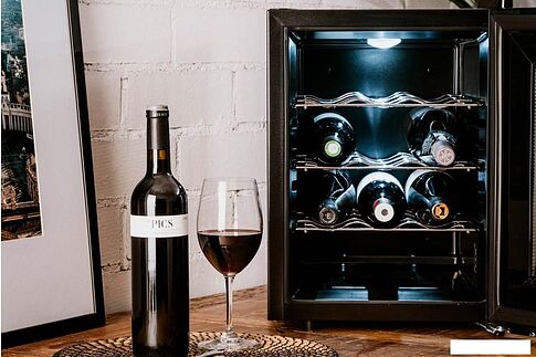 Винный шкаф Taurus Chanson 12