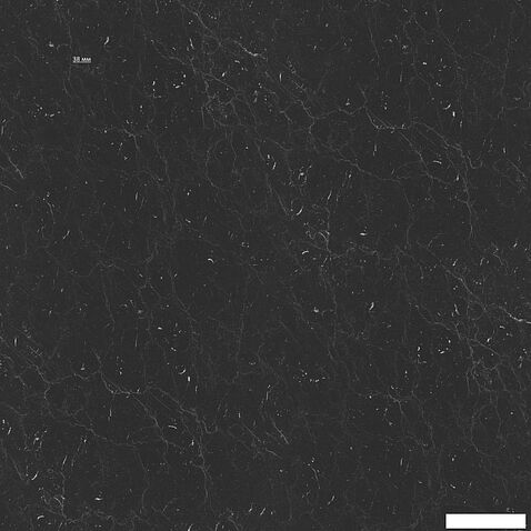 Готовая кухня ЭлиГард Виктория 1.7 (белый/белый/мрамор рома)