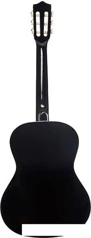 Акустическая гитара Terris TC-3801A BK