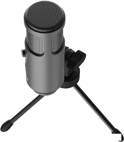 Микрофон Lorgar Voicer 521