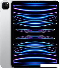 Планшет Apple iPad Pro 11" 2022 256GB (серебристый)