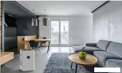 Климатический комплекс Boneco Air-O-Swiss H300