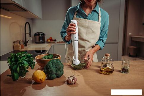 Погружной блендер AccesStyle HB7011W