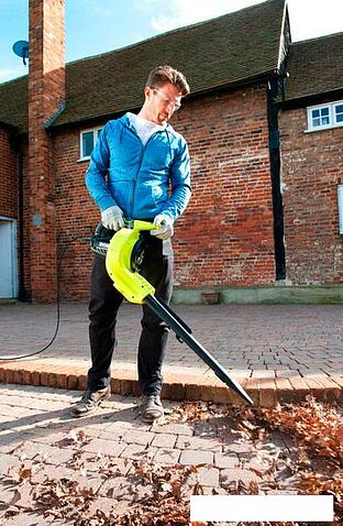 Воздуходувка Ryobi RBV3000CESV