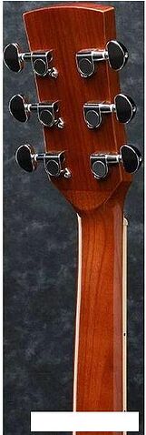 Акустическая гитара Ibanez PF15-NT