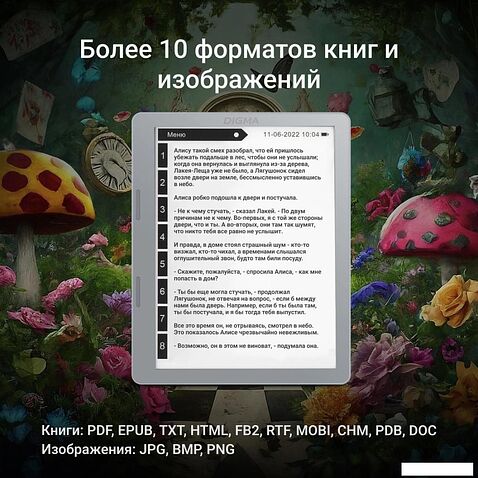 Электронная книга Digma E2