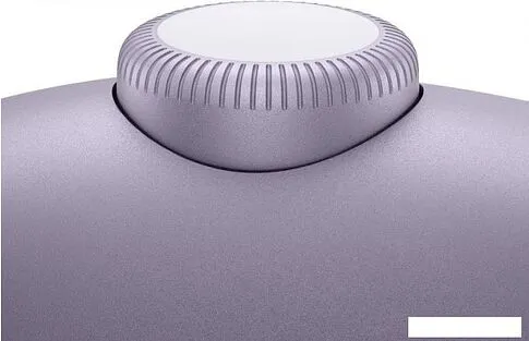 Наушники Apple AirPods Max (с разъёмом USB Type-C, фиолетовый)