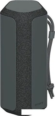 Беспроводная колонка Sony SRS-XE200 (черный)