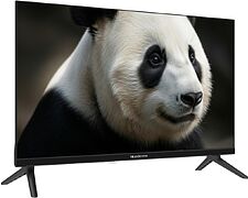 Телевизор Topdevice 24" SALUTE TV TDWC24BH4260V