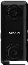 Кнопочный телефон Maxvi P110 (черный)