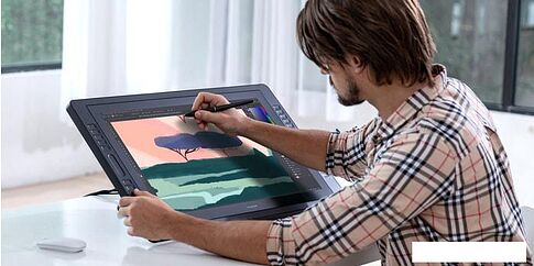 Графический монитор Huion Kamvas Pro 24