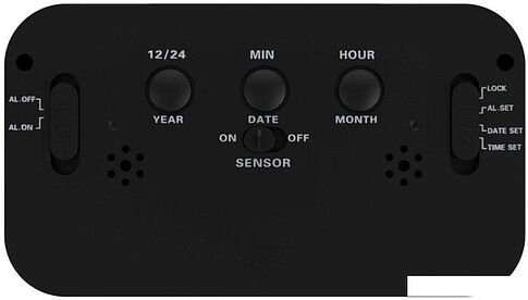 Радиочасы Ritmix CAT-100 (черный)