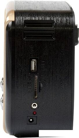 Радиоприемник Ritmix RPR-050 (золотой)