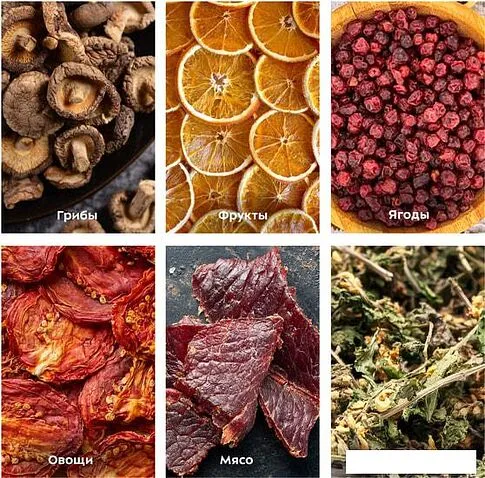 Сушилка для овощей и фруктов Kitfort KT-1918