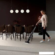 Пылесос Electrolux PQ91-ANIMA