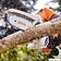Аккумуляторная пила STIHL GTA 26 SET 25см (с 1-им АКБ)