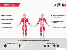 Силовая скамья Unixfit Bench 120