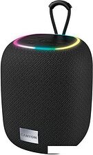 Беспроводная колонка Canyon BSP-8 (черный) Беспроводная колонка Canyon BSP-8 (черный)