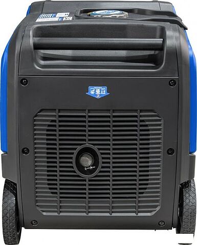 Бензиновый генератор ТСС SGG 4000ESI 060049