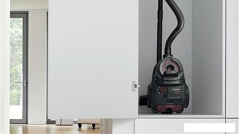 Пылесос Bosch Serie 4 BGS21POW2