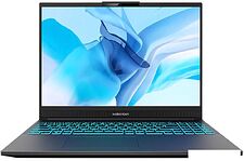 Игровой ноутбук Maibenben X677 X677FSFNLGRE0