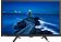 Телевизор FUSION Electronics FLTV-24A310