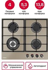 Варочная панель Hansa BHKY61139