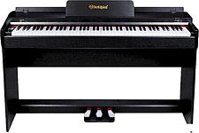 Цифровое пианино Solista DP600BK Цифровое пианино Solista DP600BK