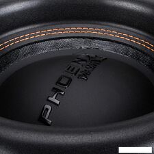 Головка сабвуфера DL Audio Phoenix Black Bass 12