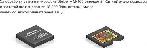 Микрофон Stelberry M-100