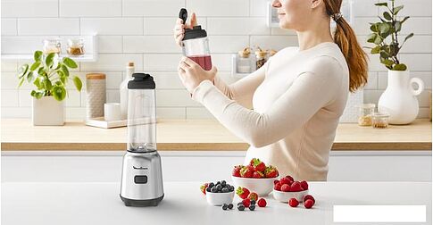 Стационарный блендер Moulinex Mix&Move LM15FD10