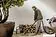 Пылесос Karcher WD 3 V-17/4/35 + Nozzles 1.628-124.0