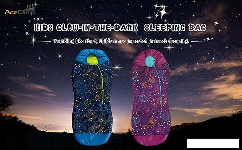 Спальный мешок AceCamp 3978 (синий/кокон)