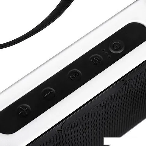 Беспроводная колонка Digma S-24 (черный)