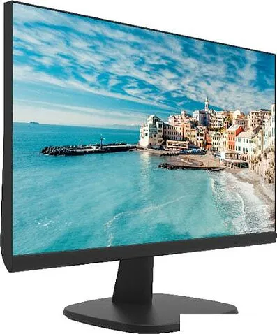 Монитор Hikvision DS-D5024FN