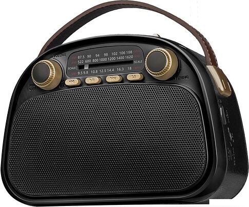 Радиоприемник Ritmix RPR-040 (черный)